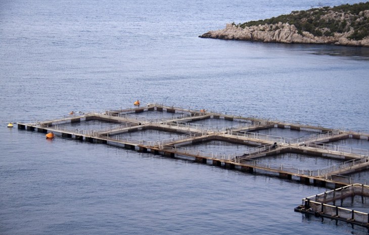 Aquakultur - Industrielle Tierhaltung unter Wasser